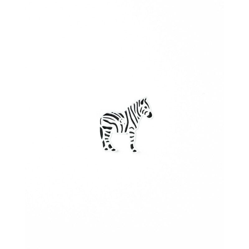 Zebras dryžius Zebras dryžius